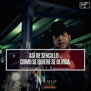 Meet your Posher, Luiz